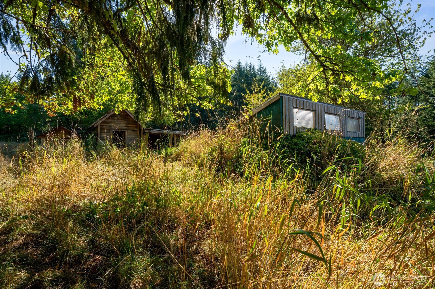 36716 Eatonville Cutoff Road Property Photo 16
