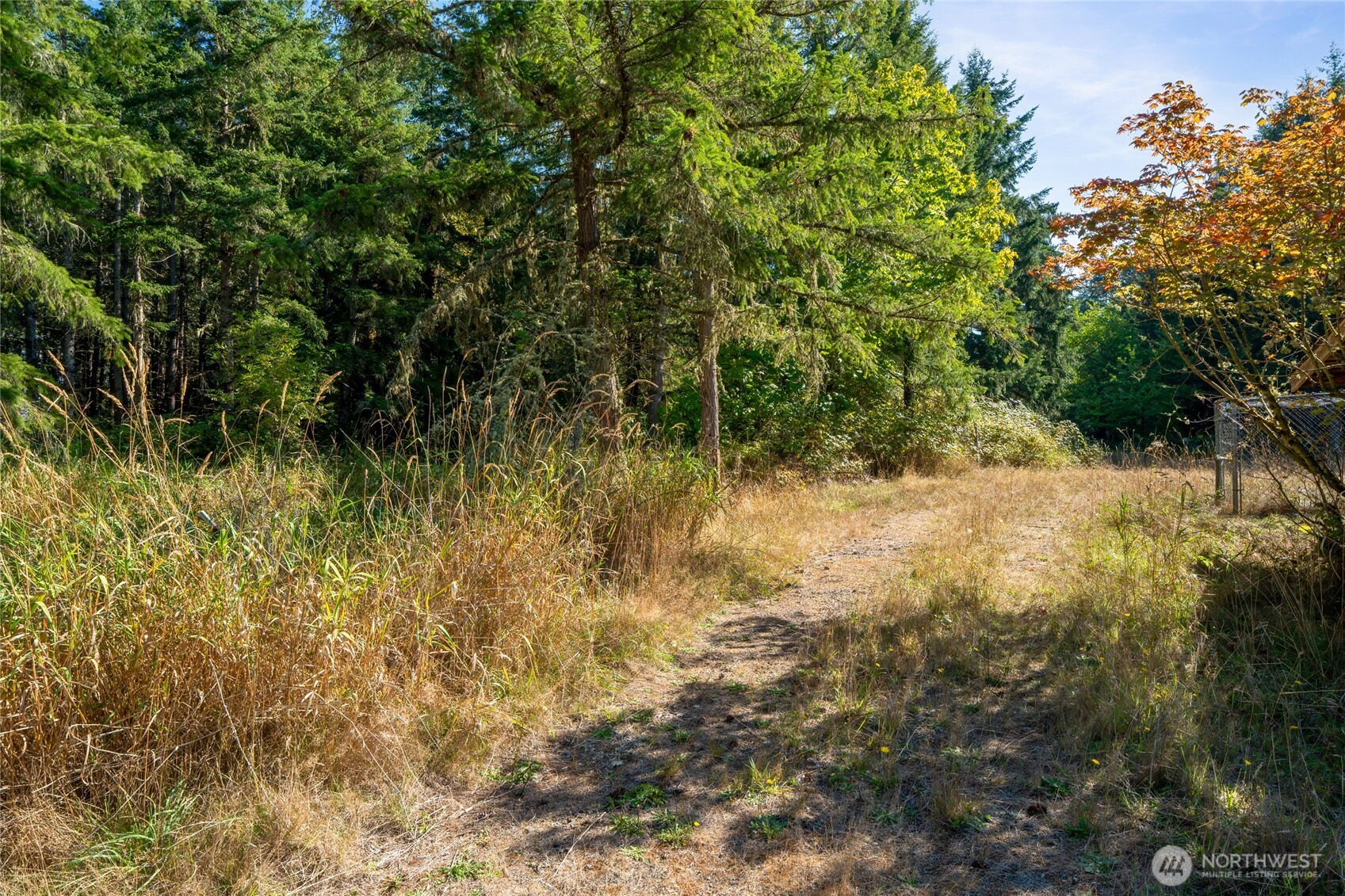 36716 Eatonville Cutoff Road Property Photo 17