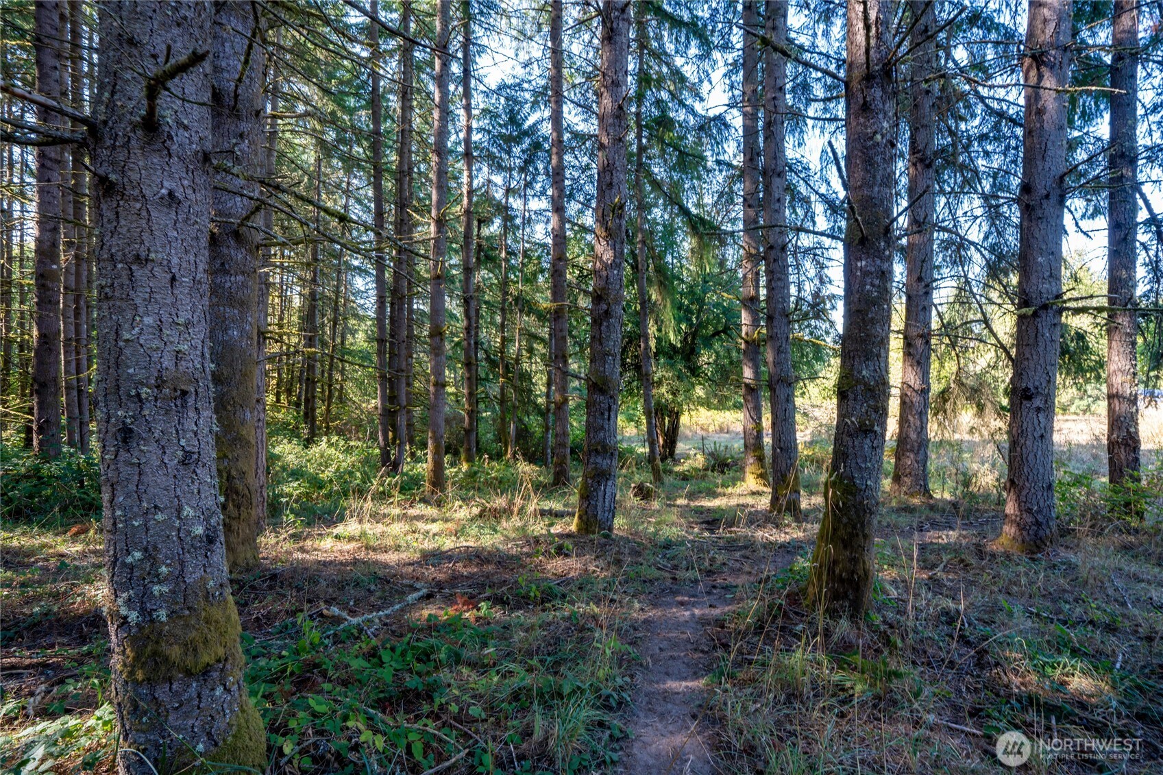 36716 Eatonville Cutoff Road Property Photo 18