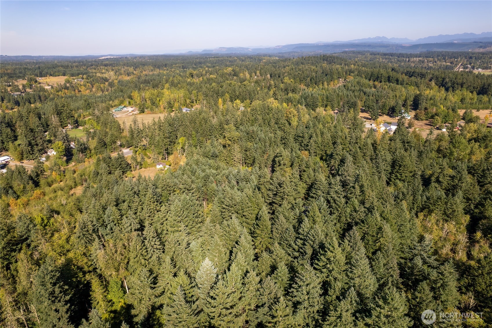 36716 Eatonville Cutoff Road Property Photo 20