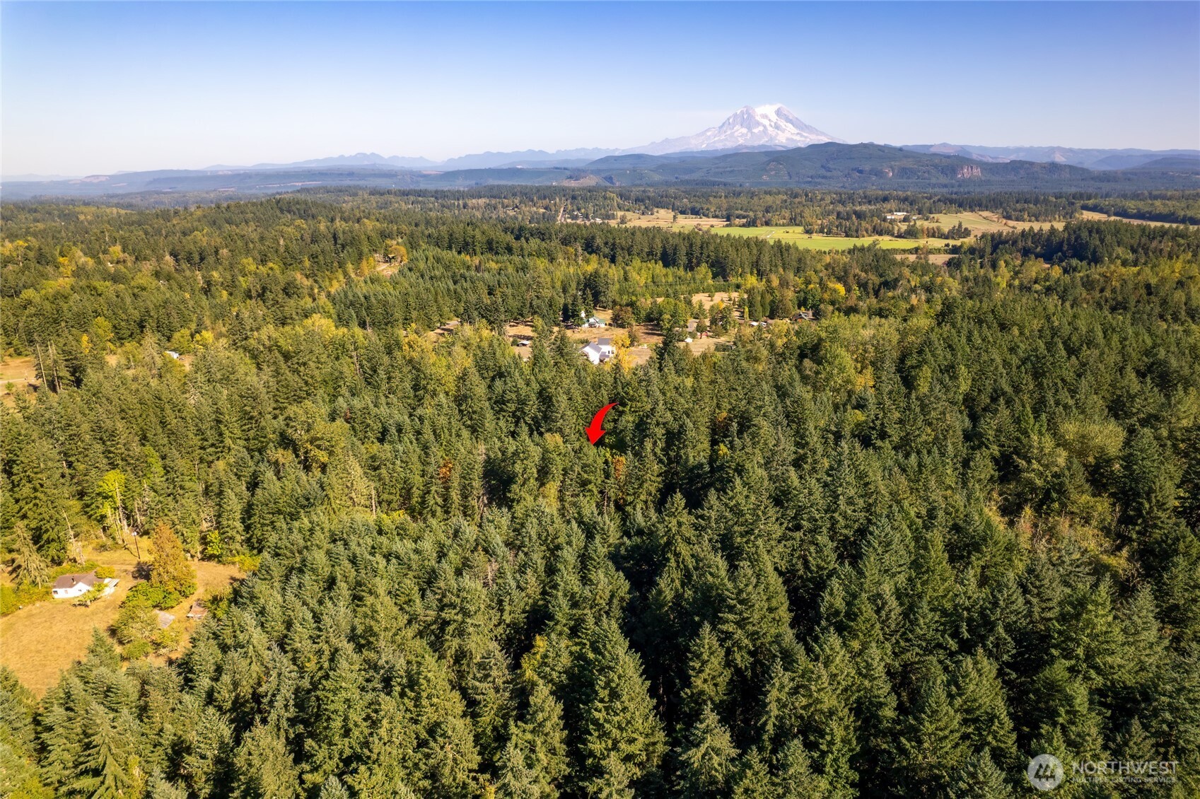 36716 Eatonville Cutoff Road Property Photo 21