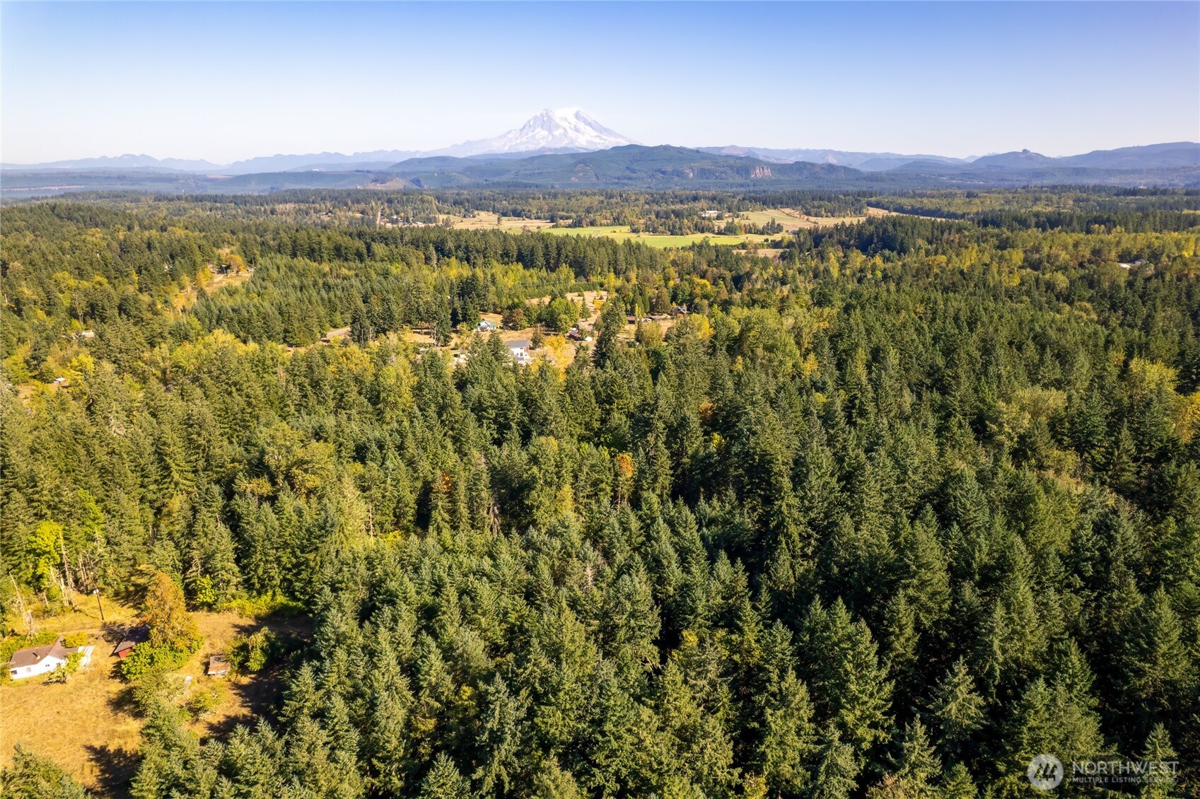 36716 Eatonville Cutoff Road Property Photo 22