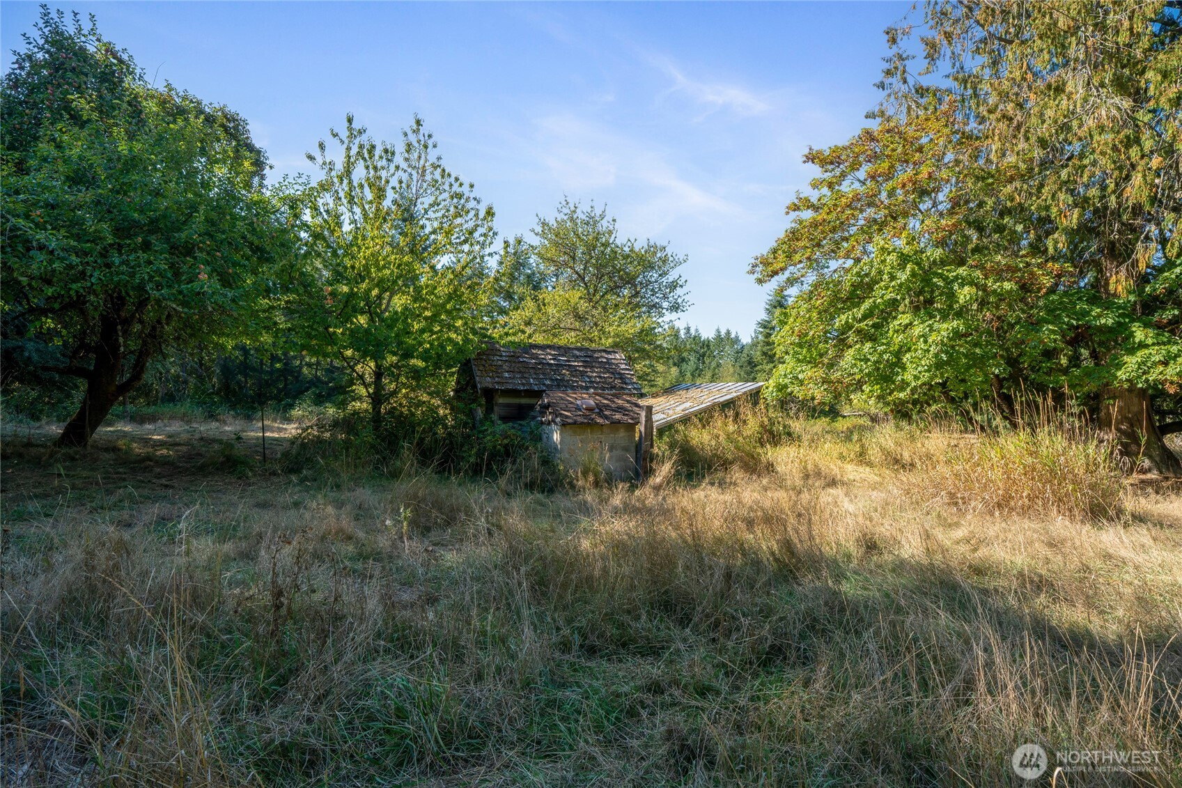 36716 Eatonville Cutoff Road Property Photo 24