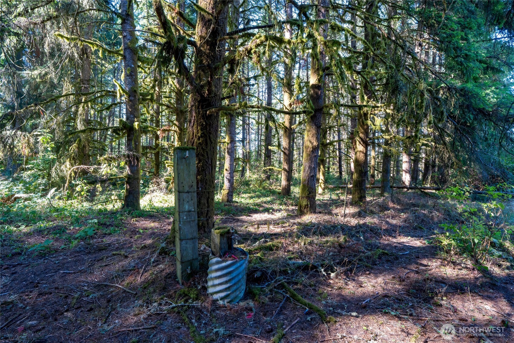 36716 Eatonville Cutoff Road Property Photo 25