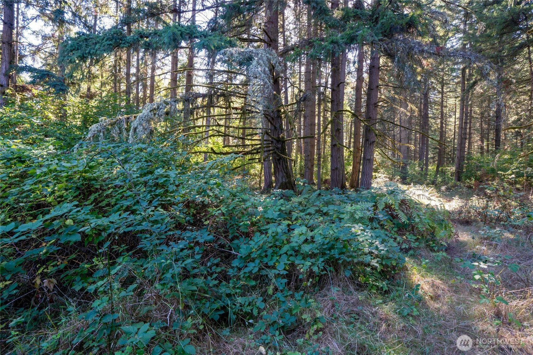 36716 Eatonville Cutoff Road Property Photo 26