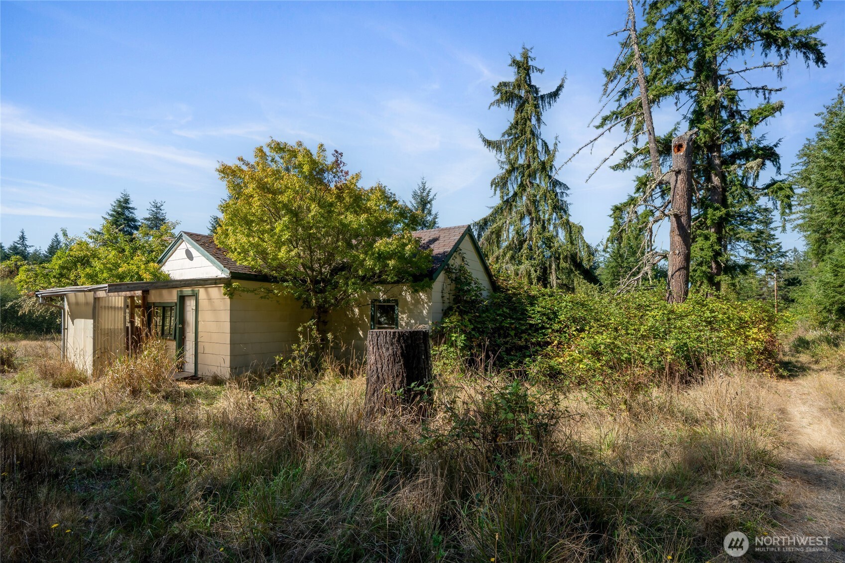 36716 Eatonville Cutoff Road Property Photo 27