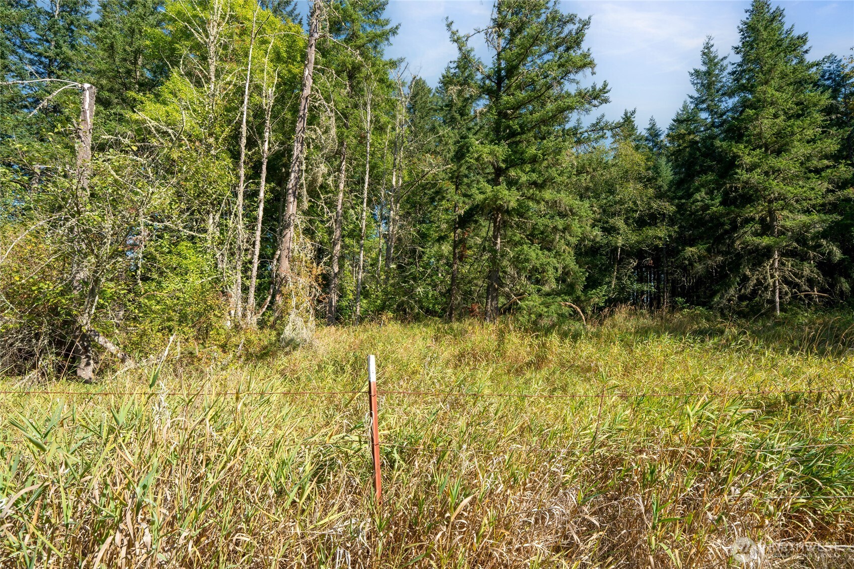 36716 Eatonville Cutoff Road Property Photo 30
