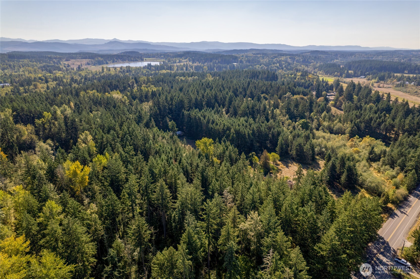 36716 Eatonville Cutoff Road Property Photo 31