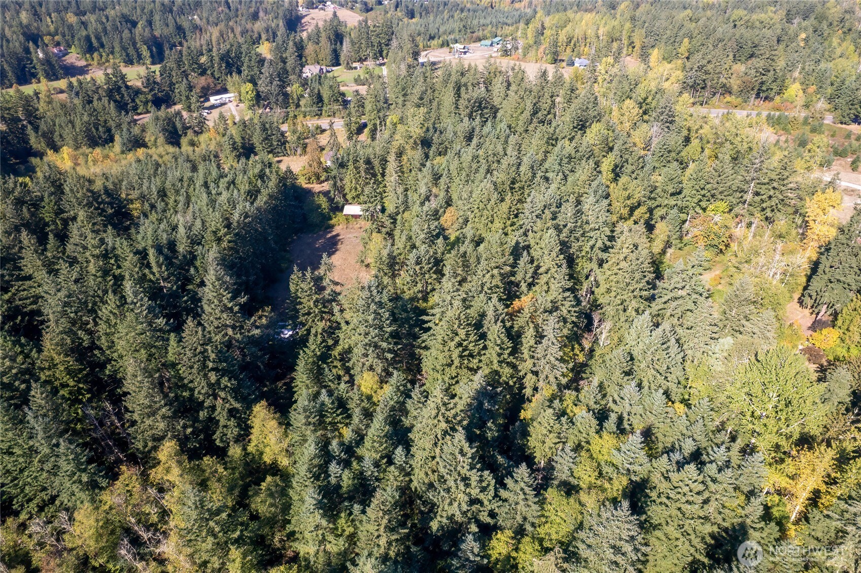 36716 Eatonville Cutoff Road Property Photo 32