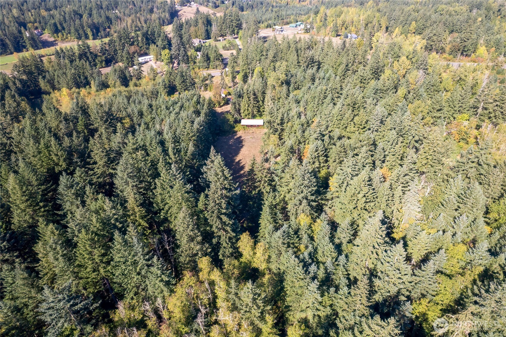 36716 Eatonville Cutoff Road Property Photo 33