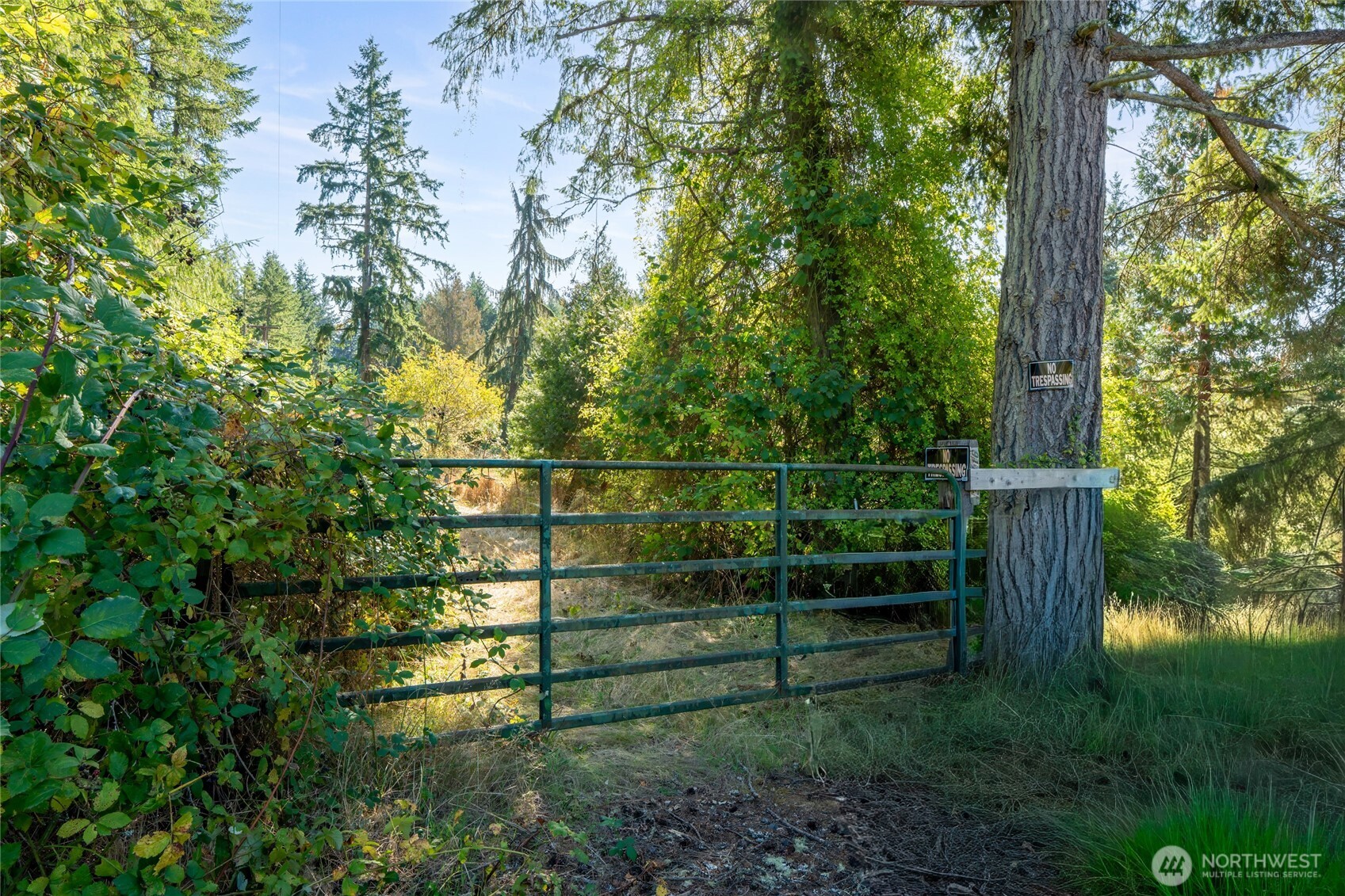 36716 Eatonville Cutoff Road Property Photo 35