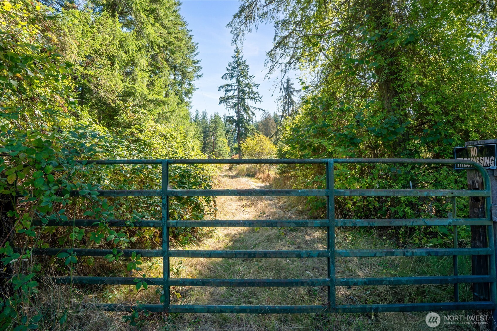 36716 Eatonville Cutoff Road Property Photo 36