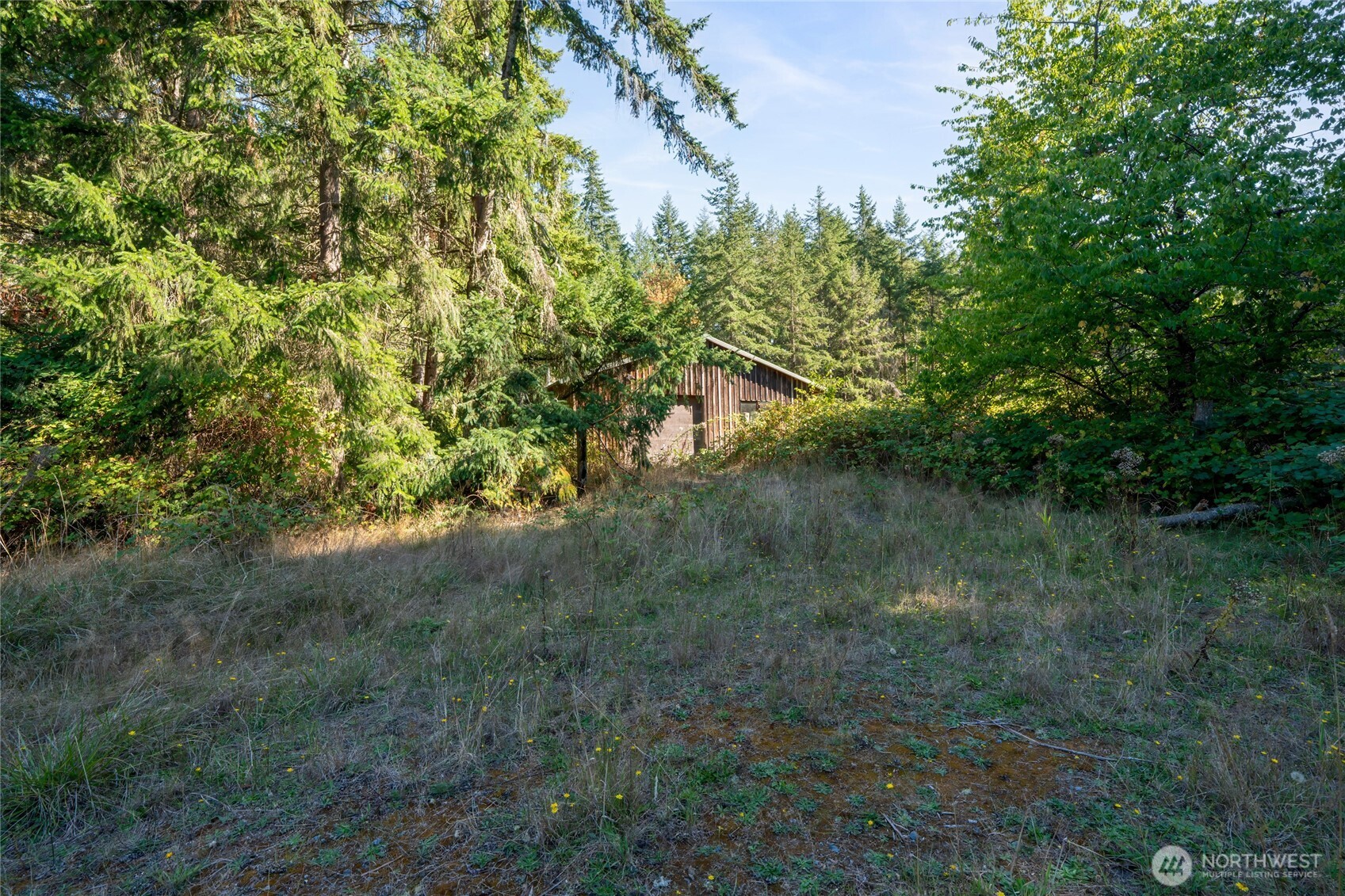 36716 Eatonville Cutoff Road Property Photo 37