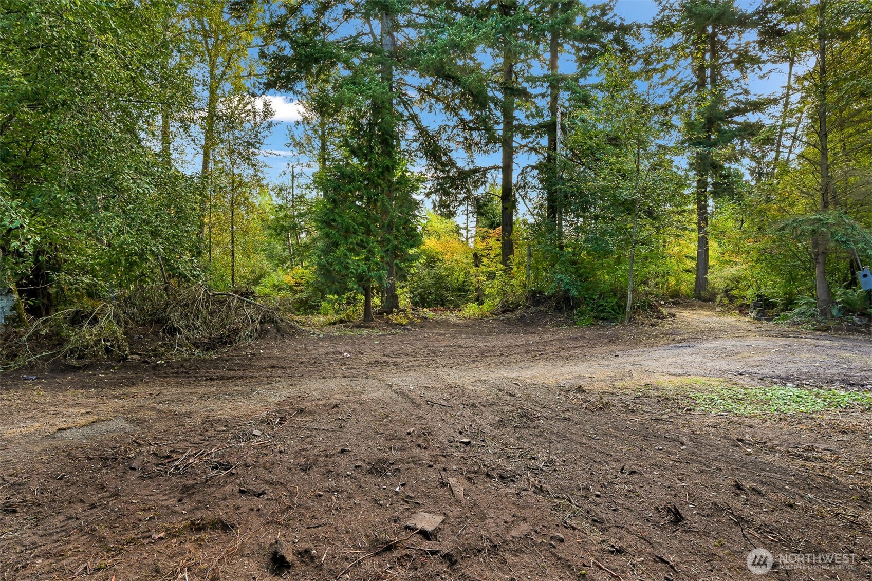 4257 Cody Road Property Photo 3