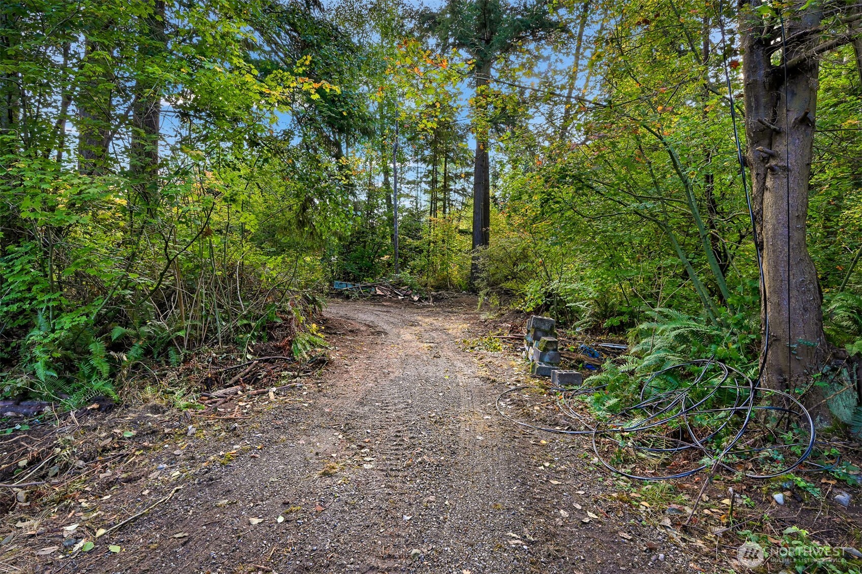 4257 Cody Road Property Photo 9
