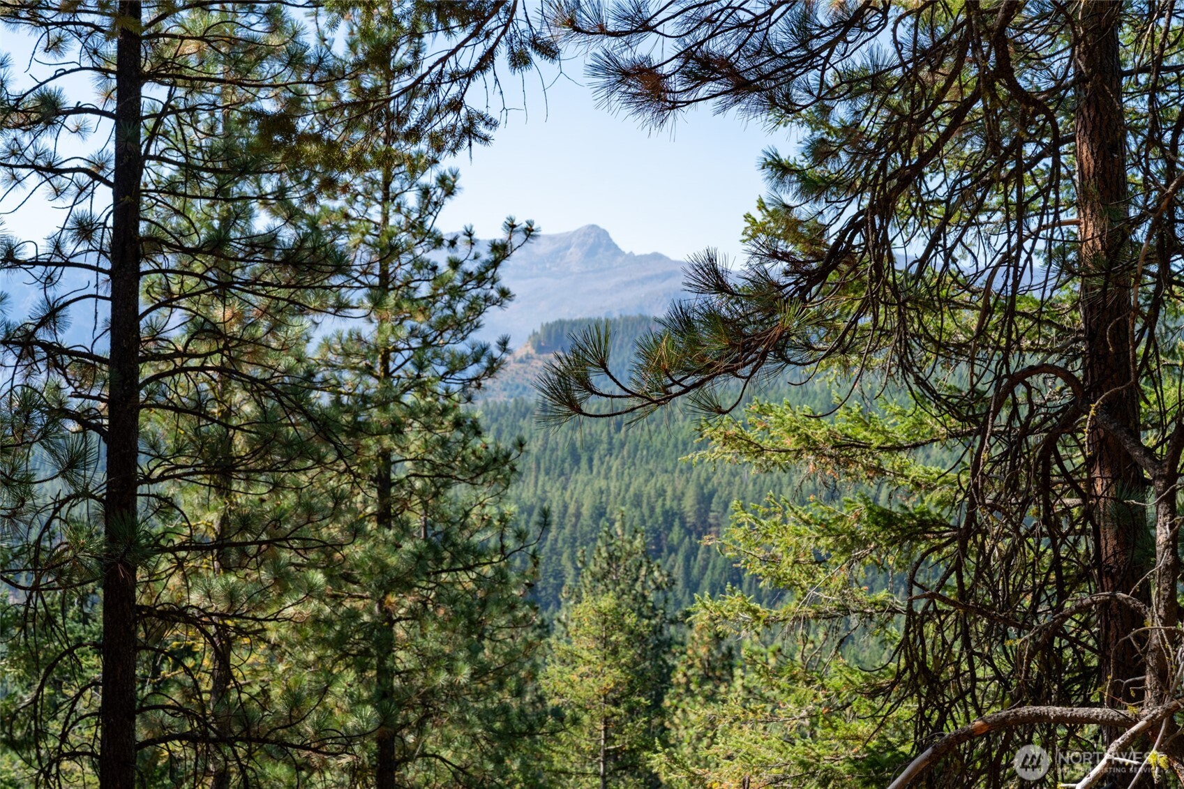 25607 Camp 12 Road Property Photo 1