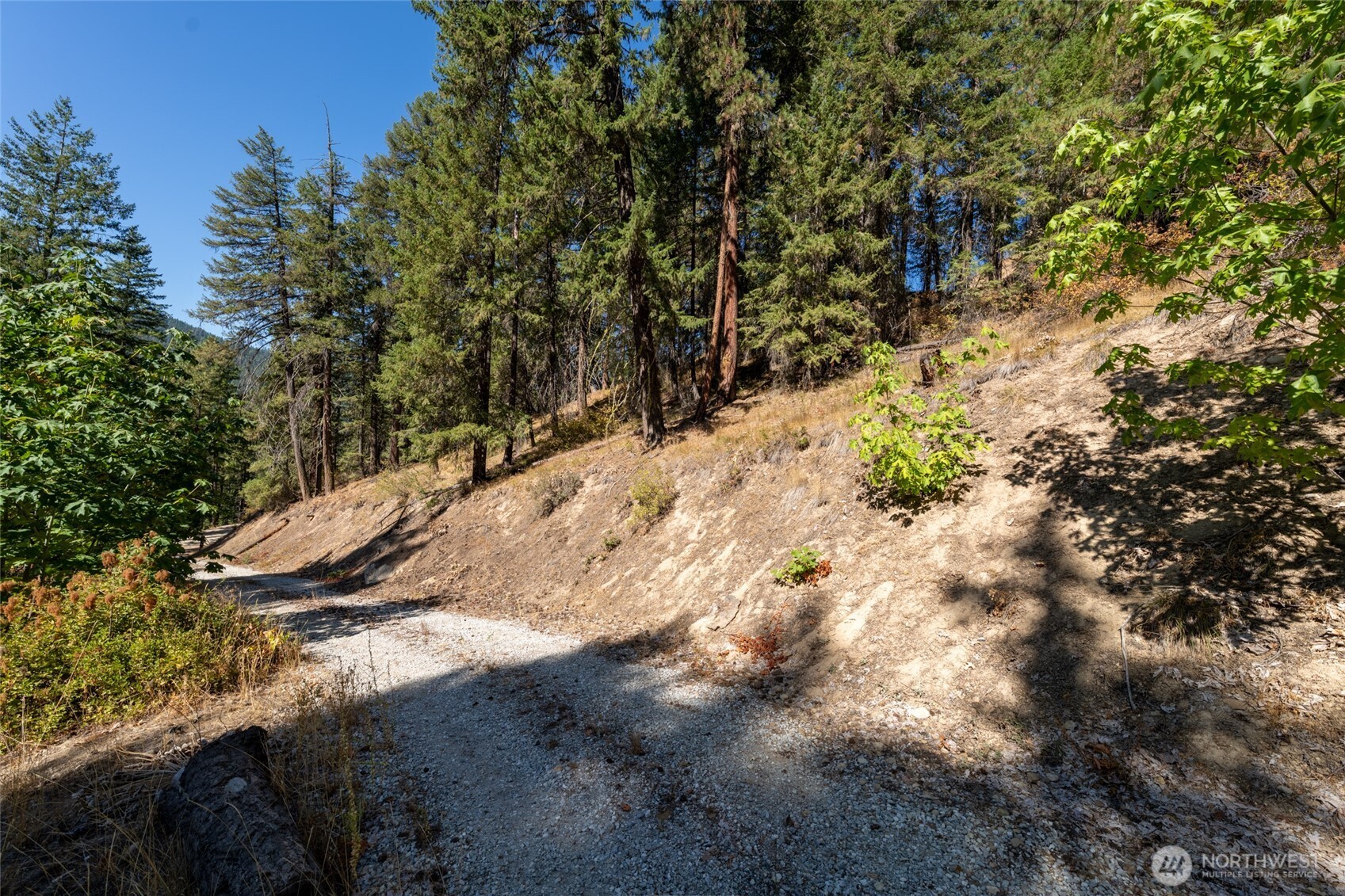 25607 Camp 12 Road Property Photo 11