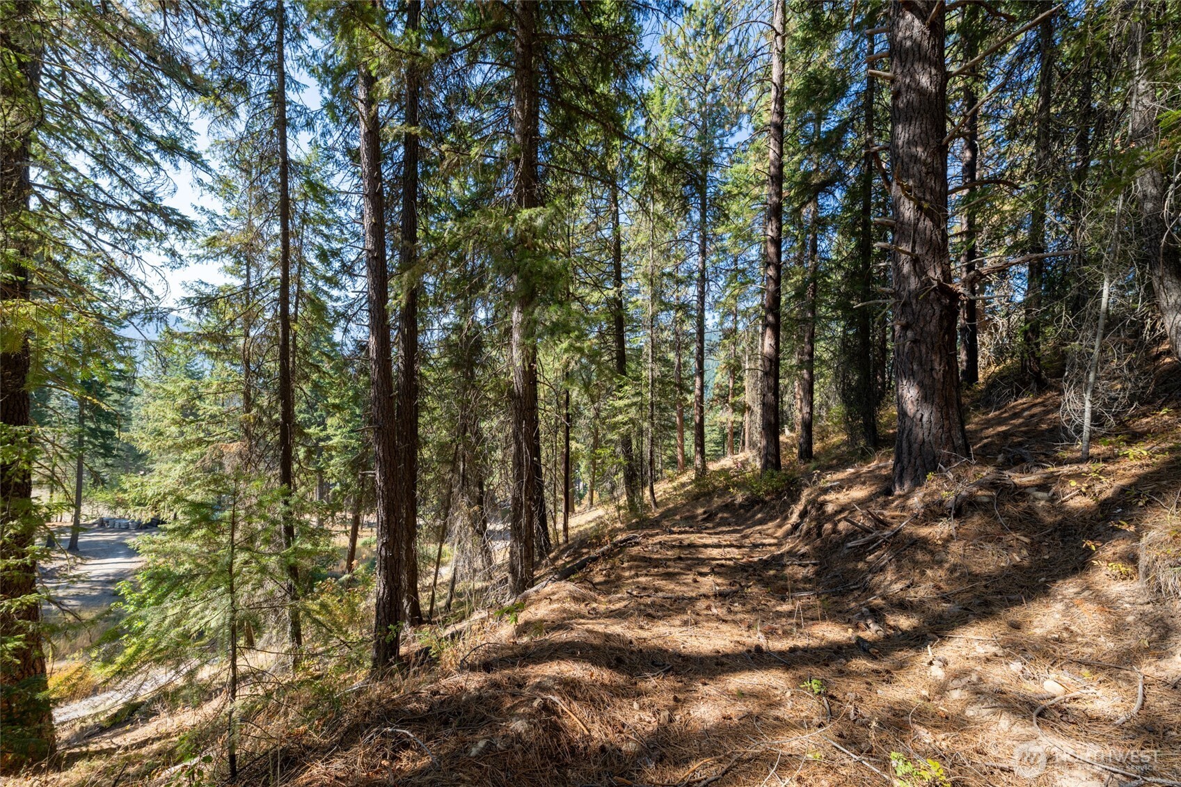 25607 Camp 12 Road Property Photo 12