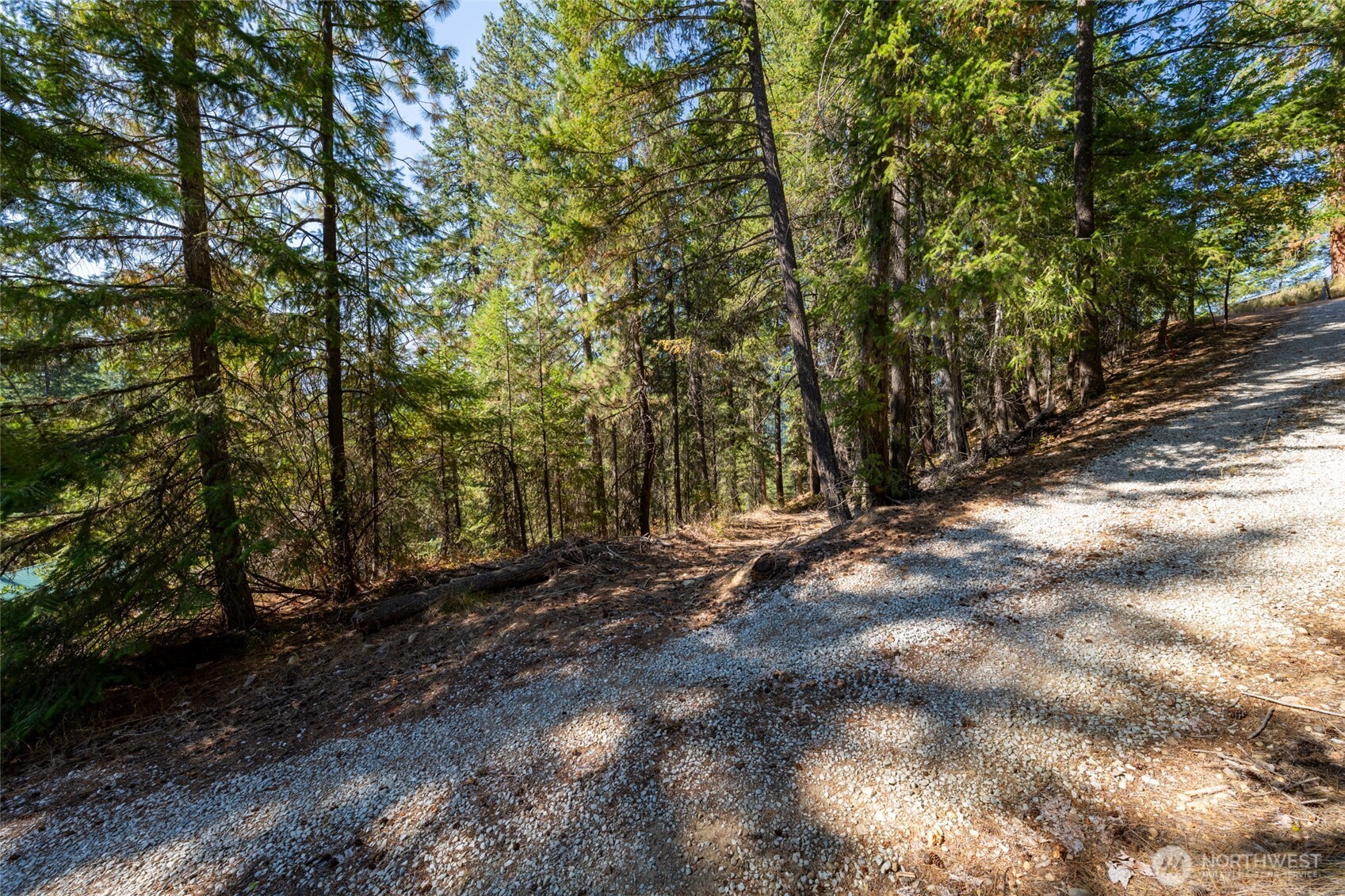 25607 Camp 12 Road Property Photo 13
