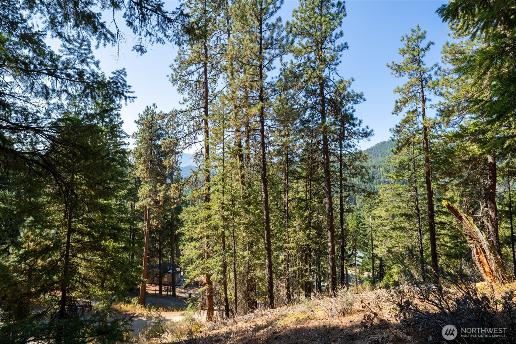 25607 Camp 12 Road Property Photo 14