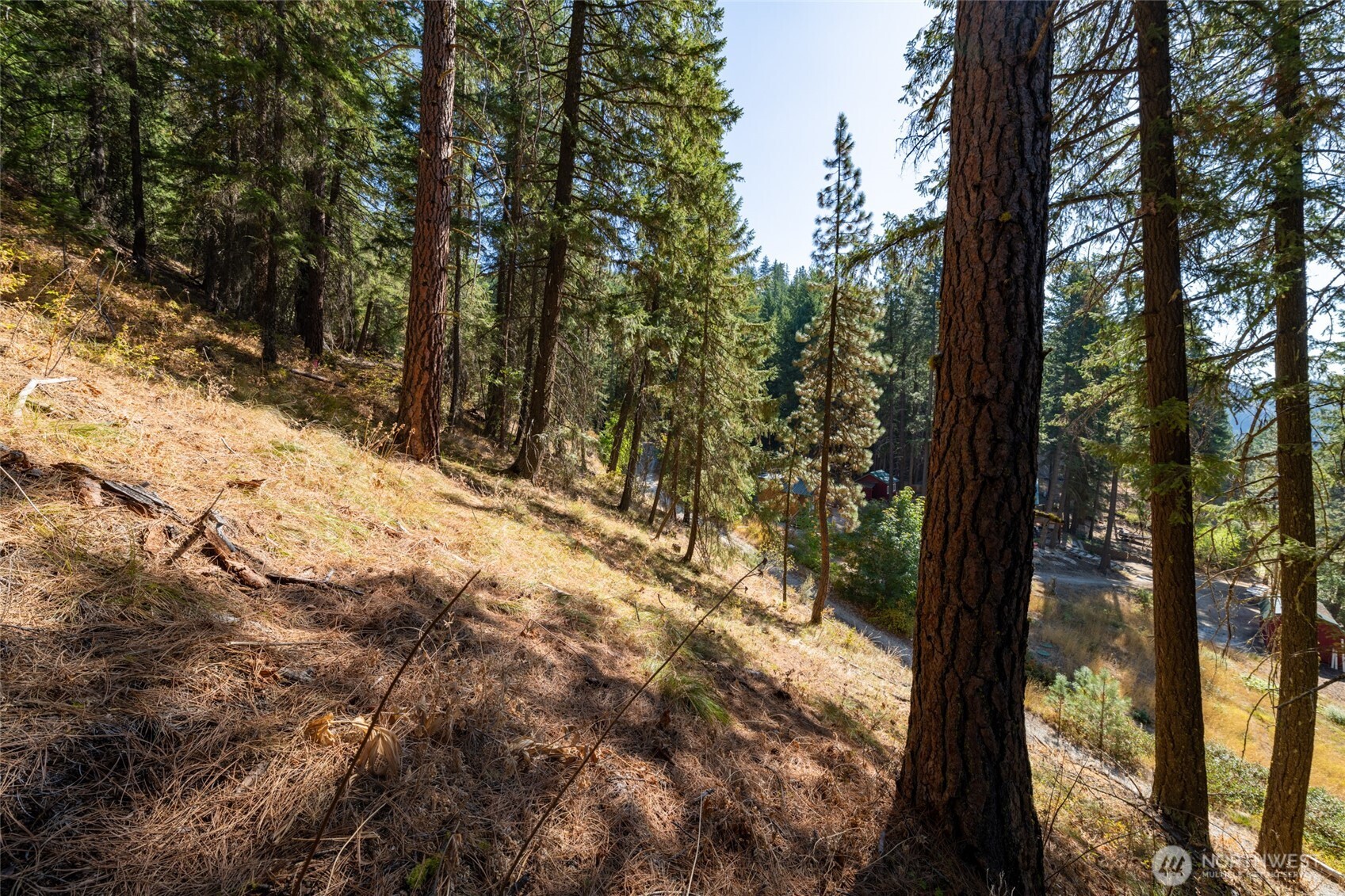 25607 Camp 12 Road Property Photo 15