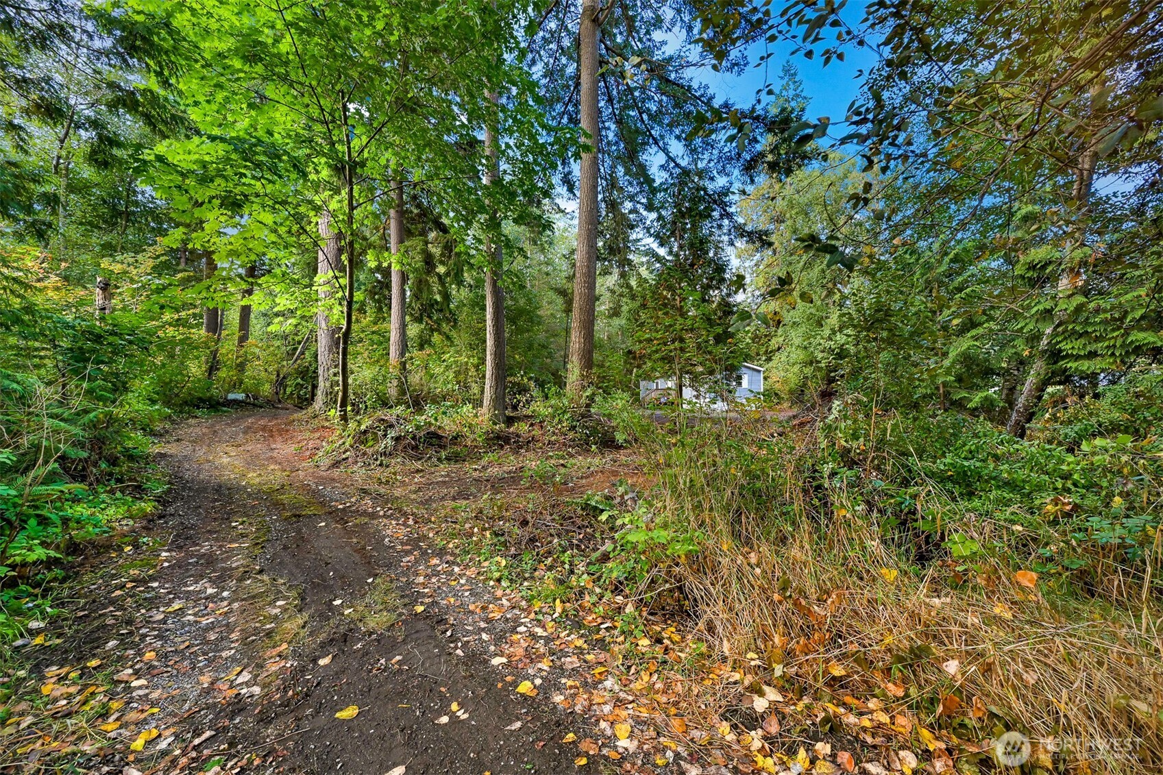 4257 Cody Road Property Photo 11