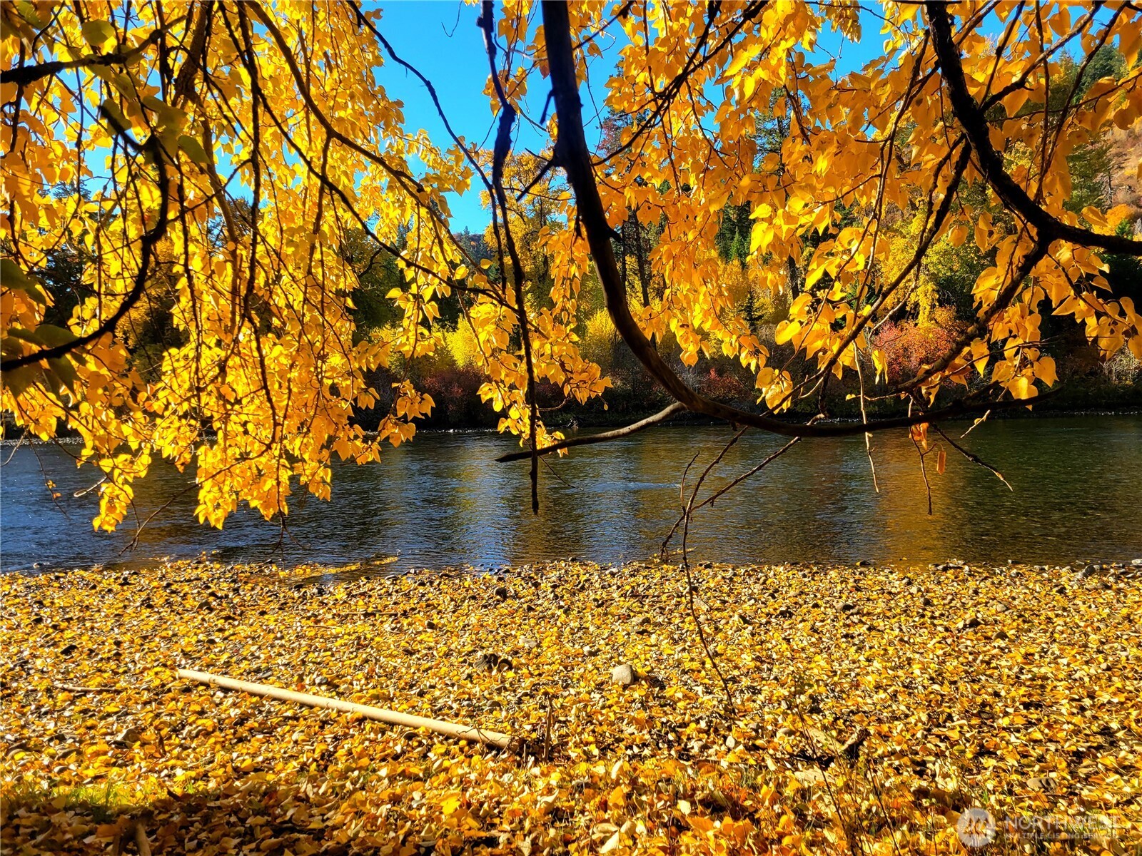 49 Highway 10 Property Photo 4