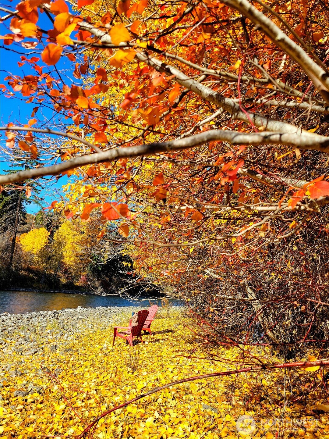 49 Highway 10 Property Photo 9