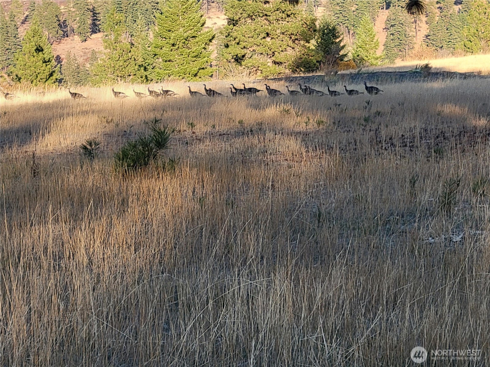 49 Highway 10 Property Photo 13