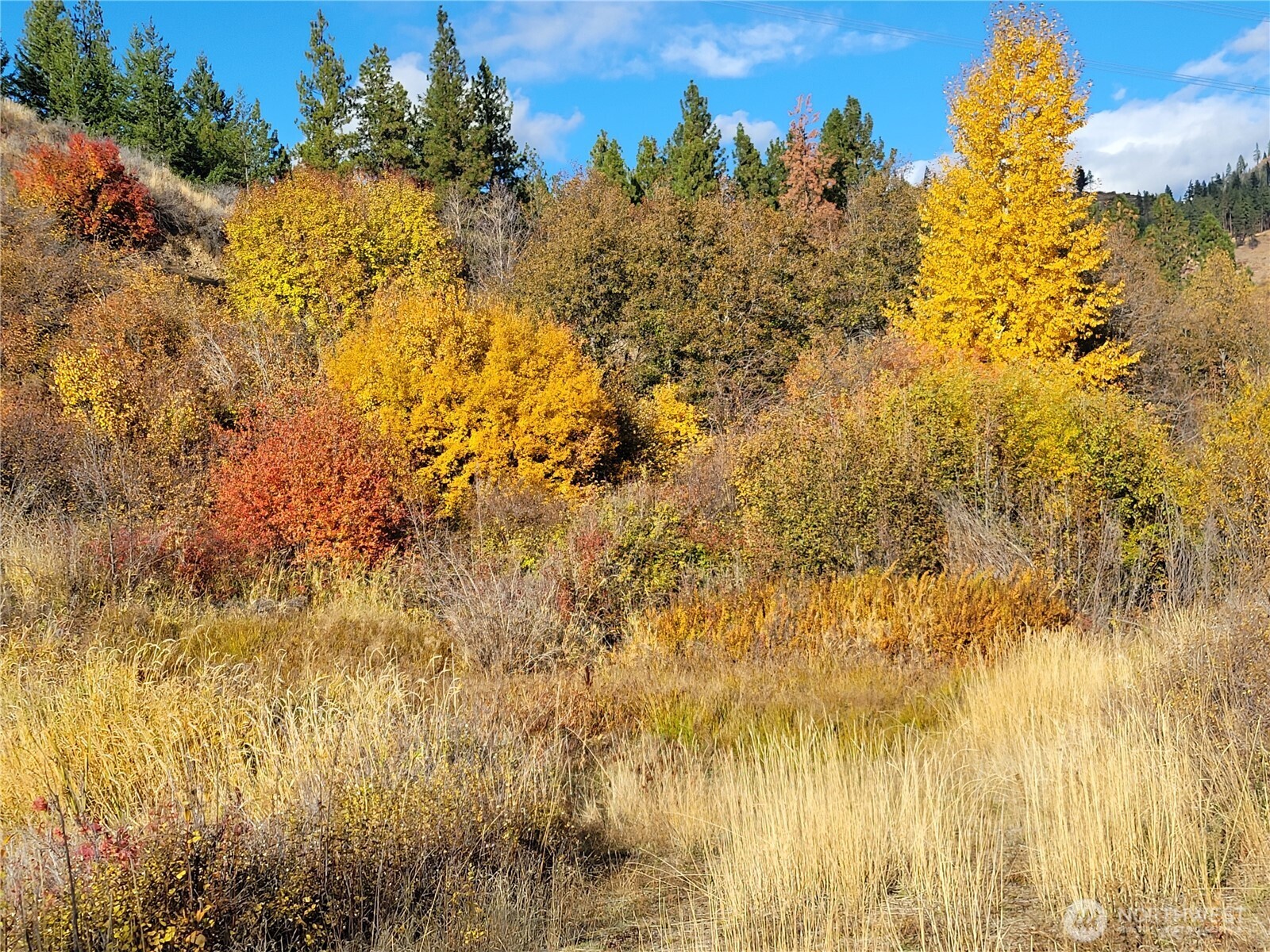 49 Highway 10 Property Photo 18