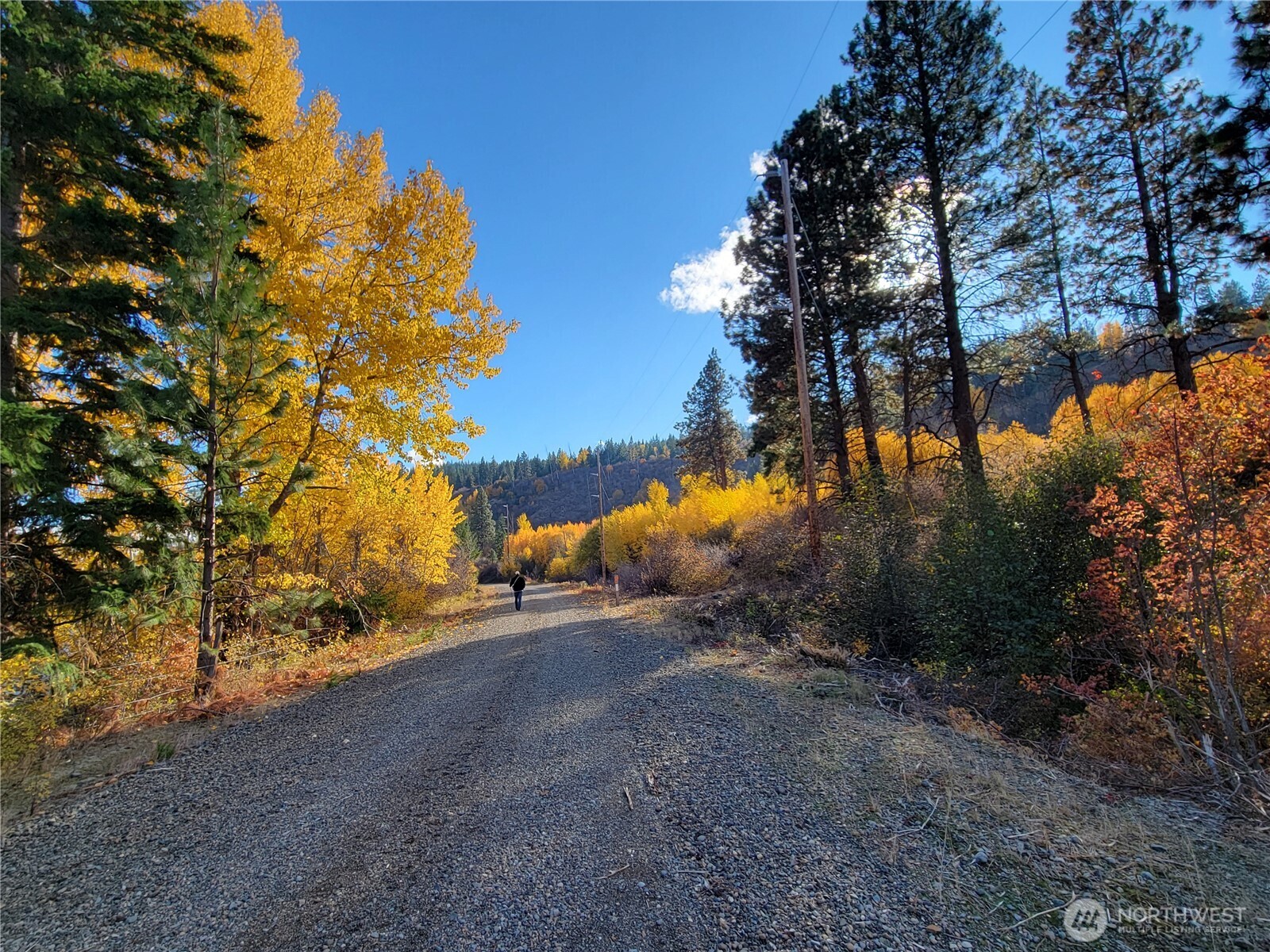 49 Highway 10 Property Photo 19