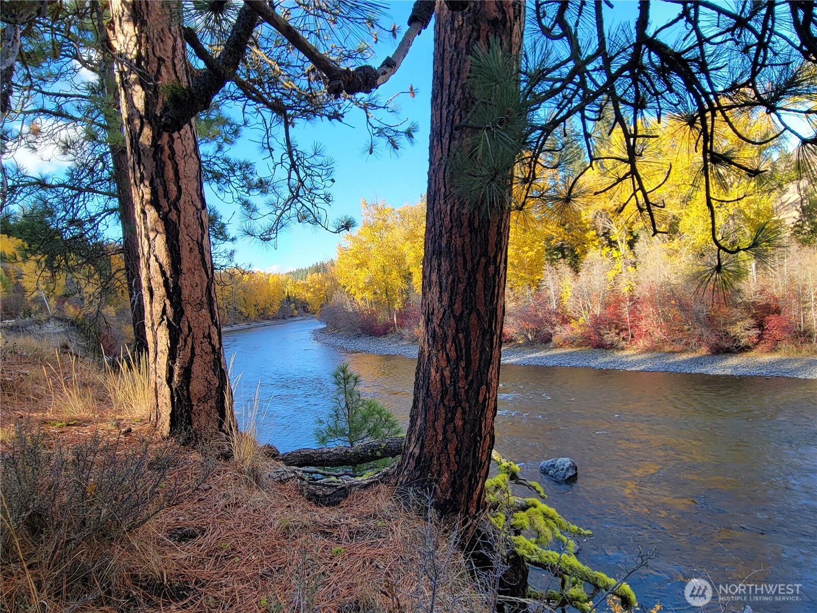 49 Highway 10 Property Photo 21