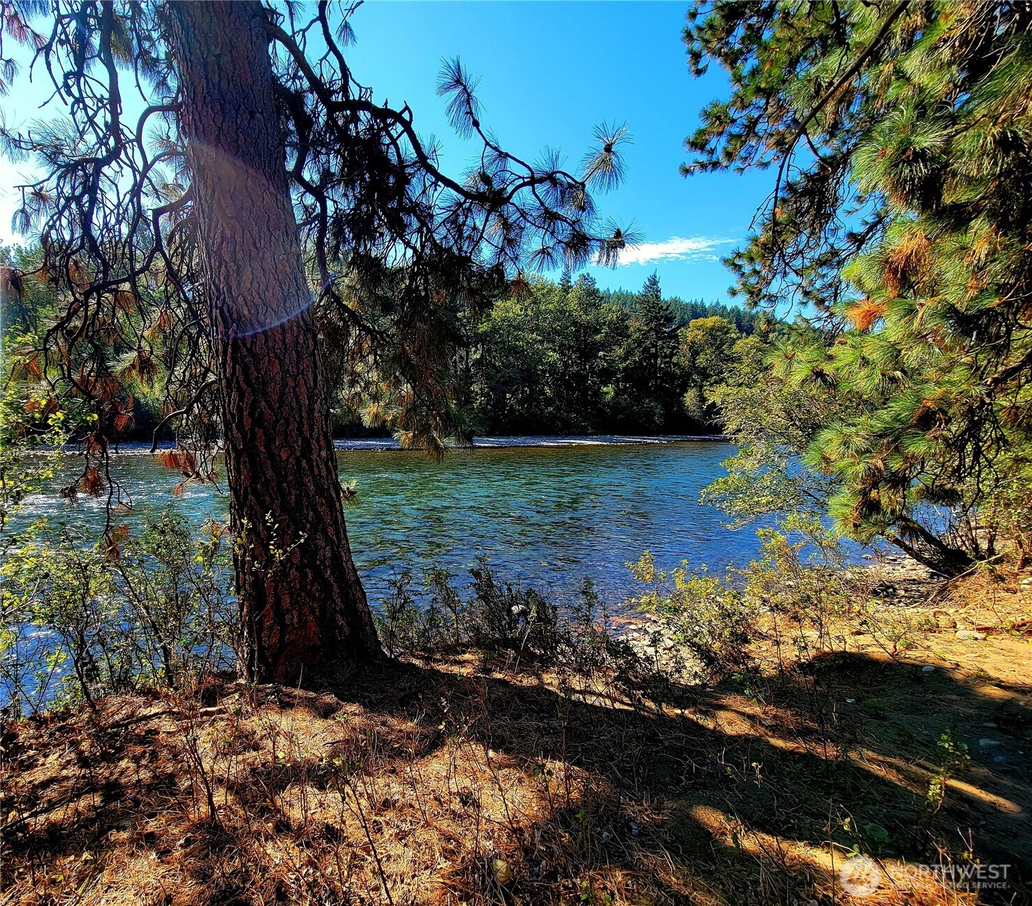 53 Highway 10 Property Photo 5