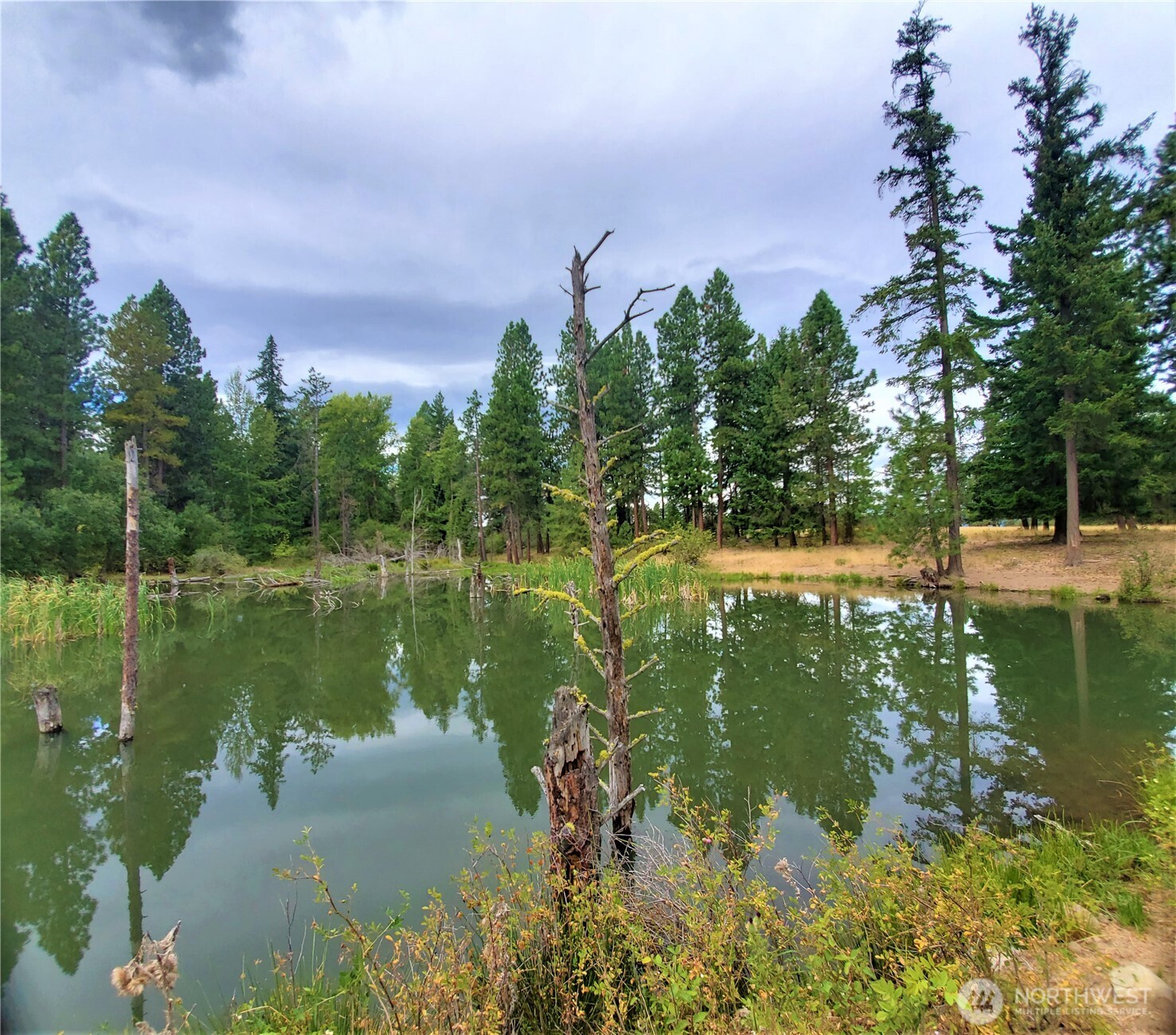 53 Highway 10 Property Photo 15