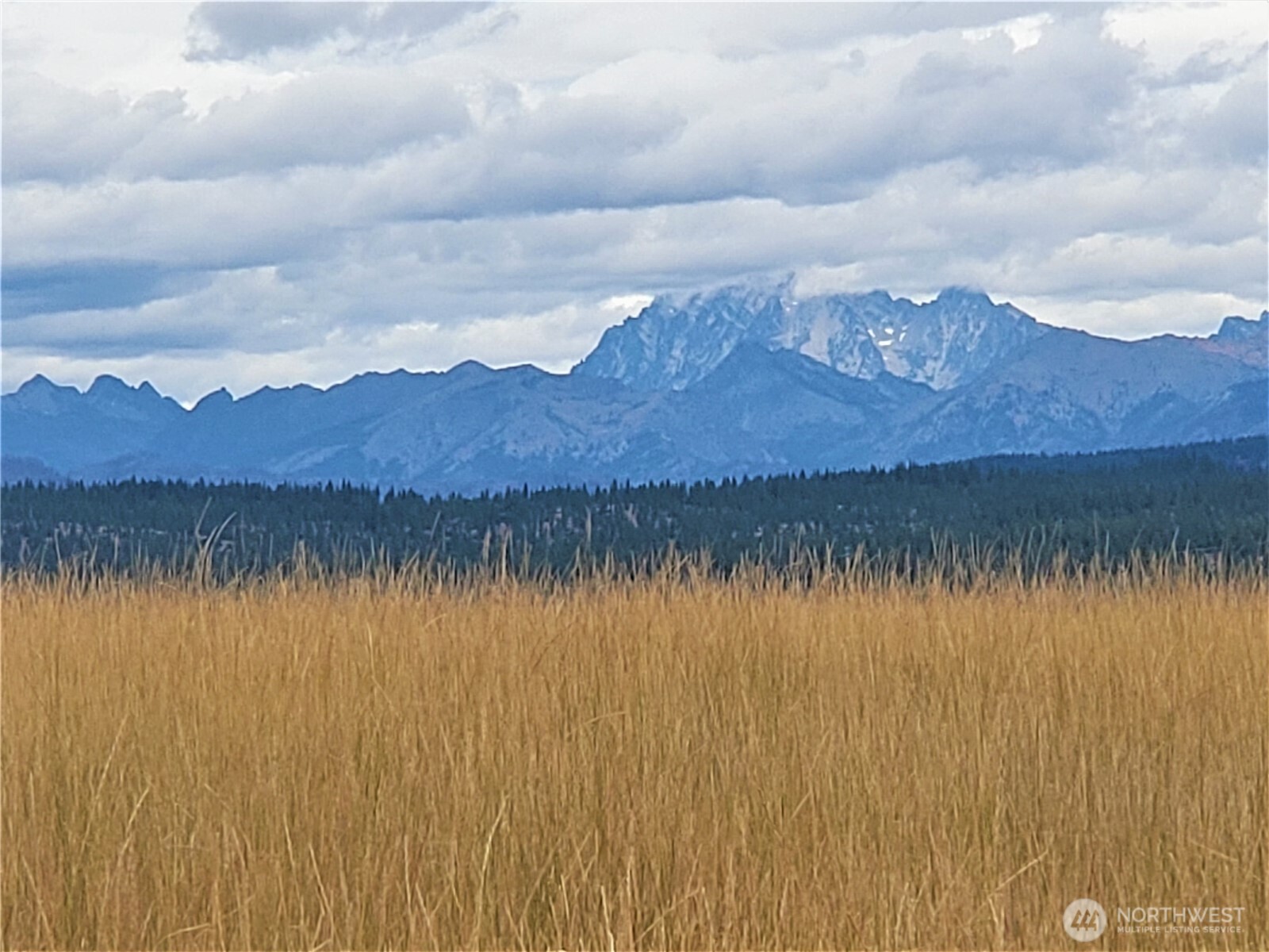 53 Highway 10 Property Photo 16