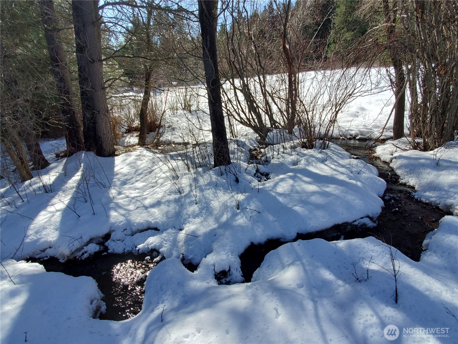 53 Highway 10 Property Photo 19