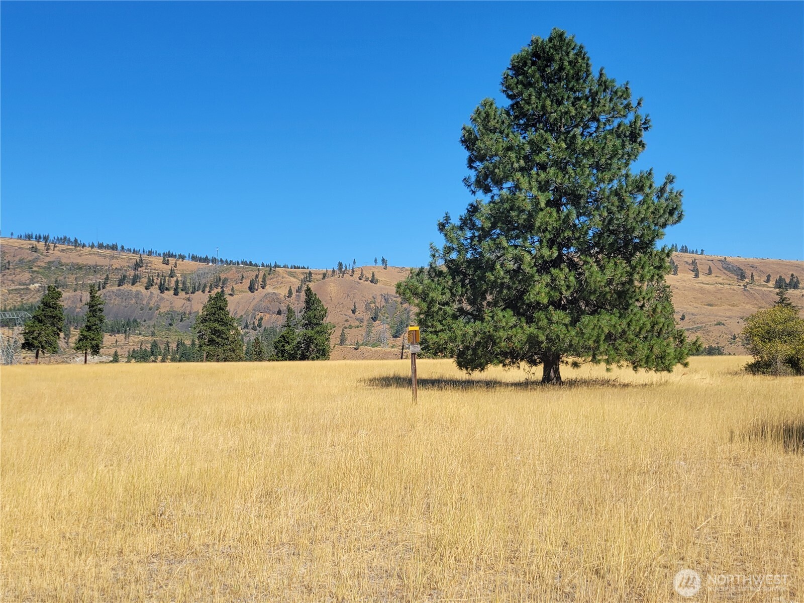 53 Highway 10 Property Photo 22