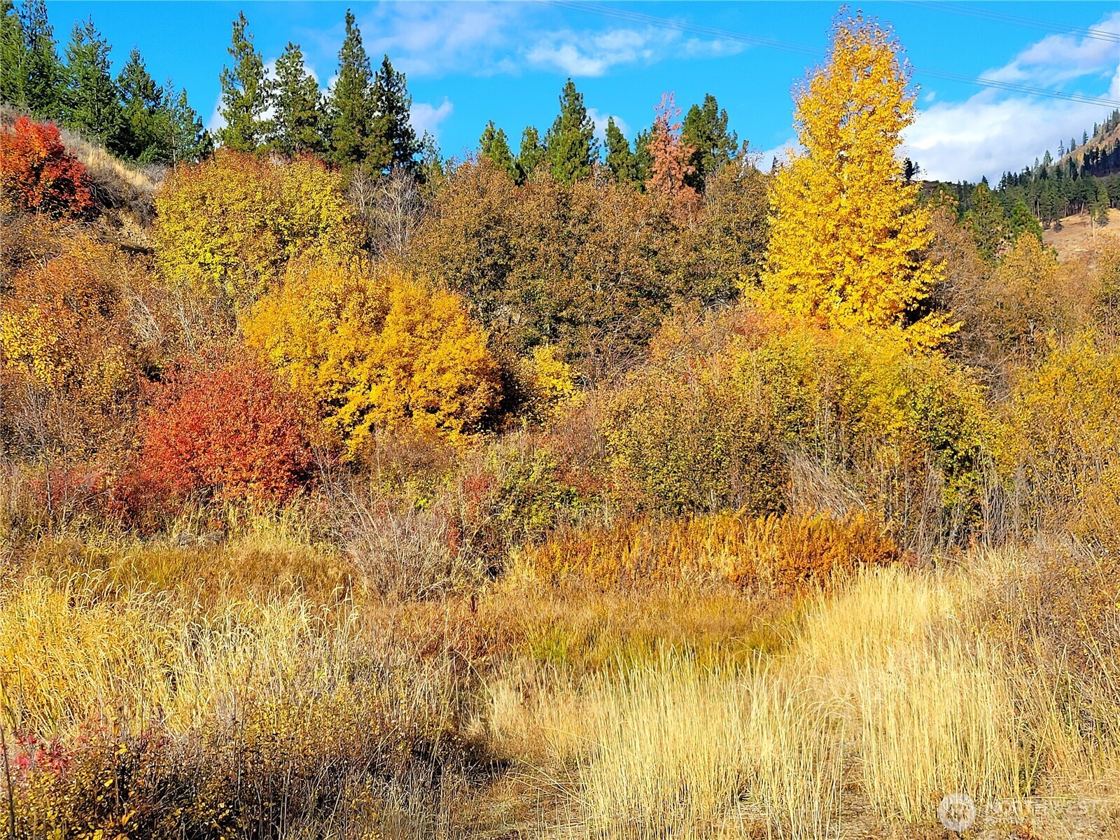 53 Highway 10 Property Photo 28