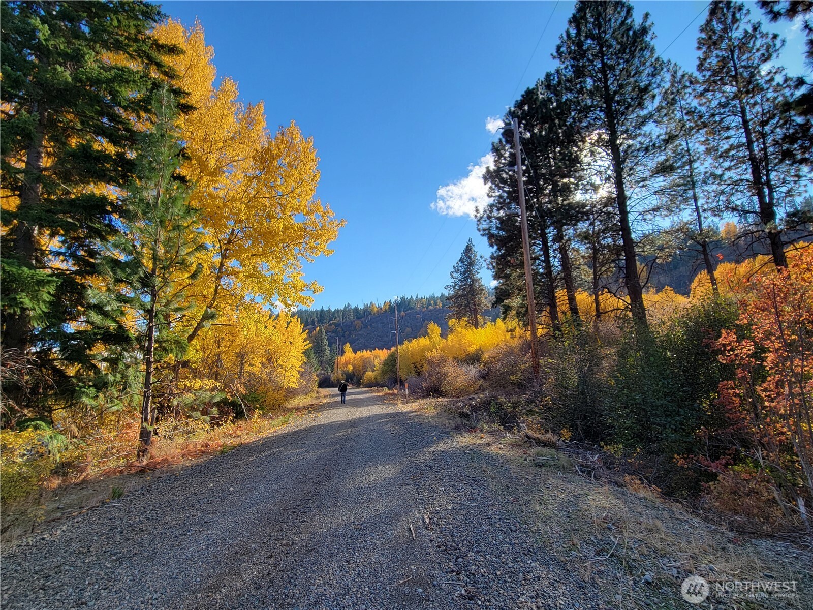 53 Highway 10 Property Photo 30