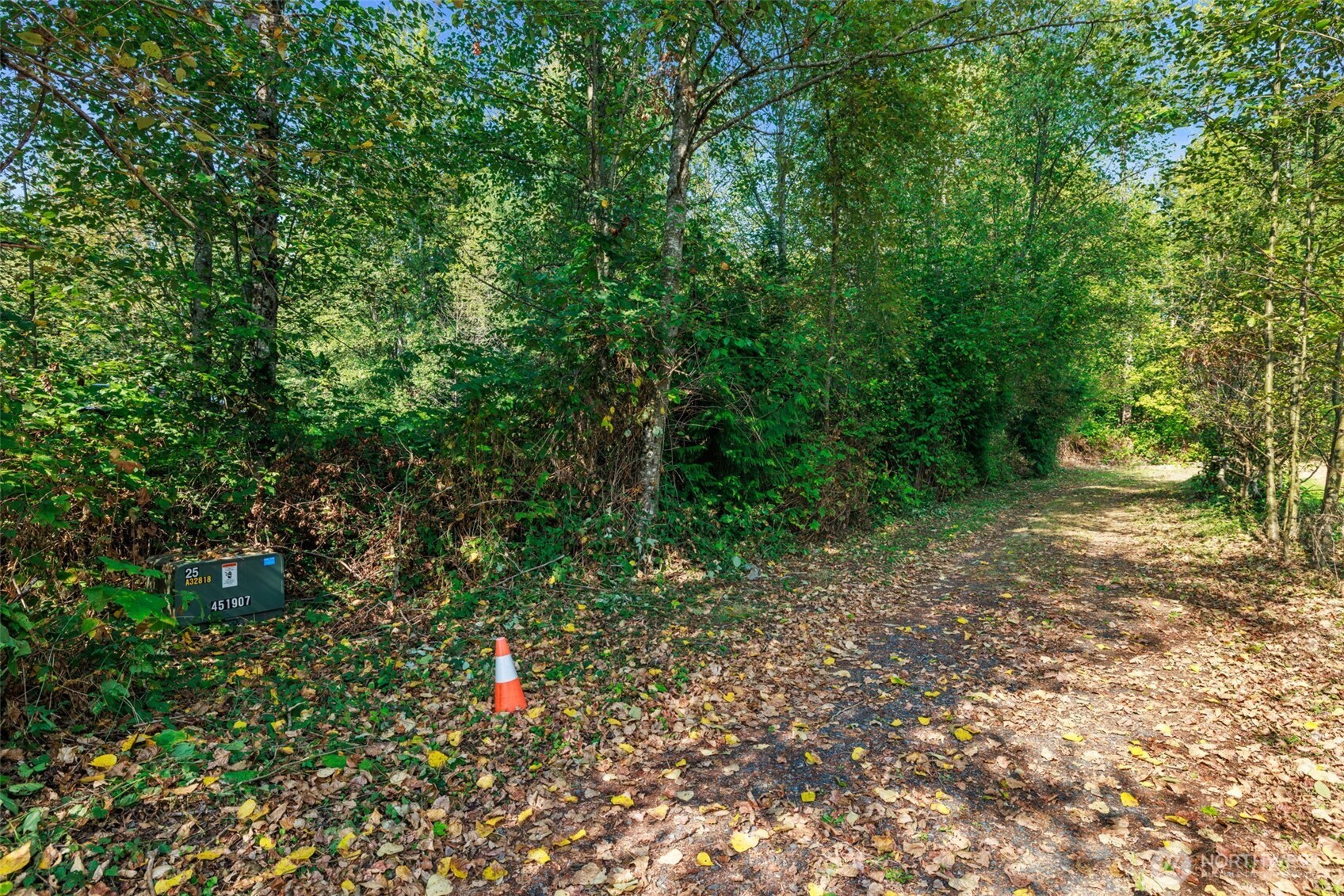 10327 174th Avenue Property Photo 9