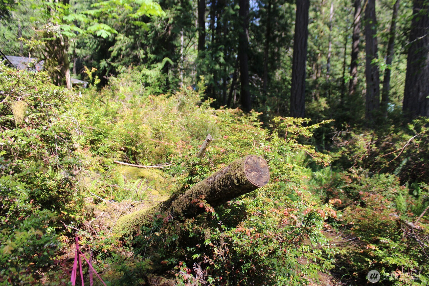 684 E Portage Road Property Photo 5