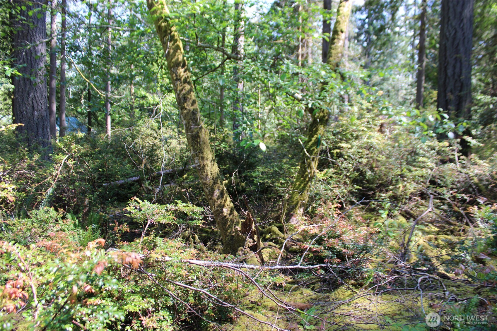 684 E Portage Road Property Photo 6