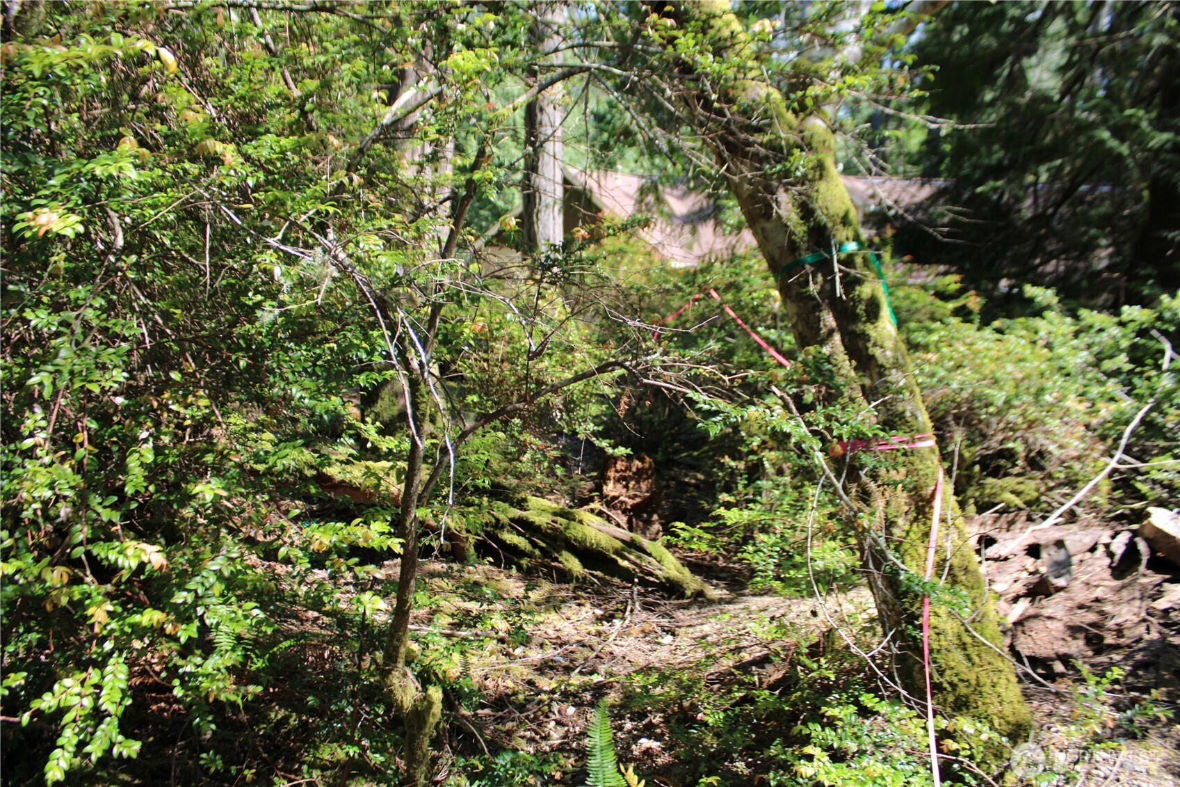 684 E Portage Road Property Photo 9