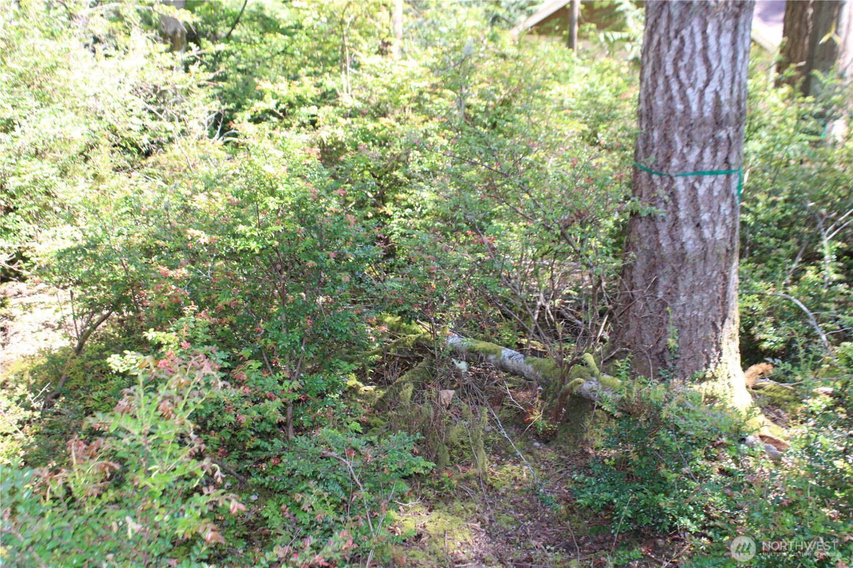 684 E Portage Road Property Photo 11