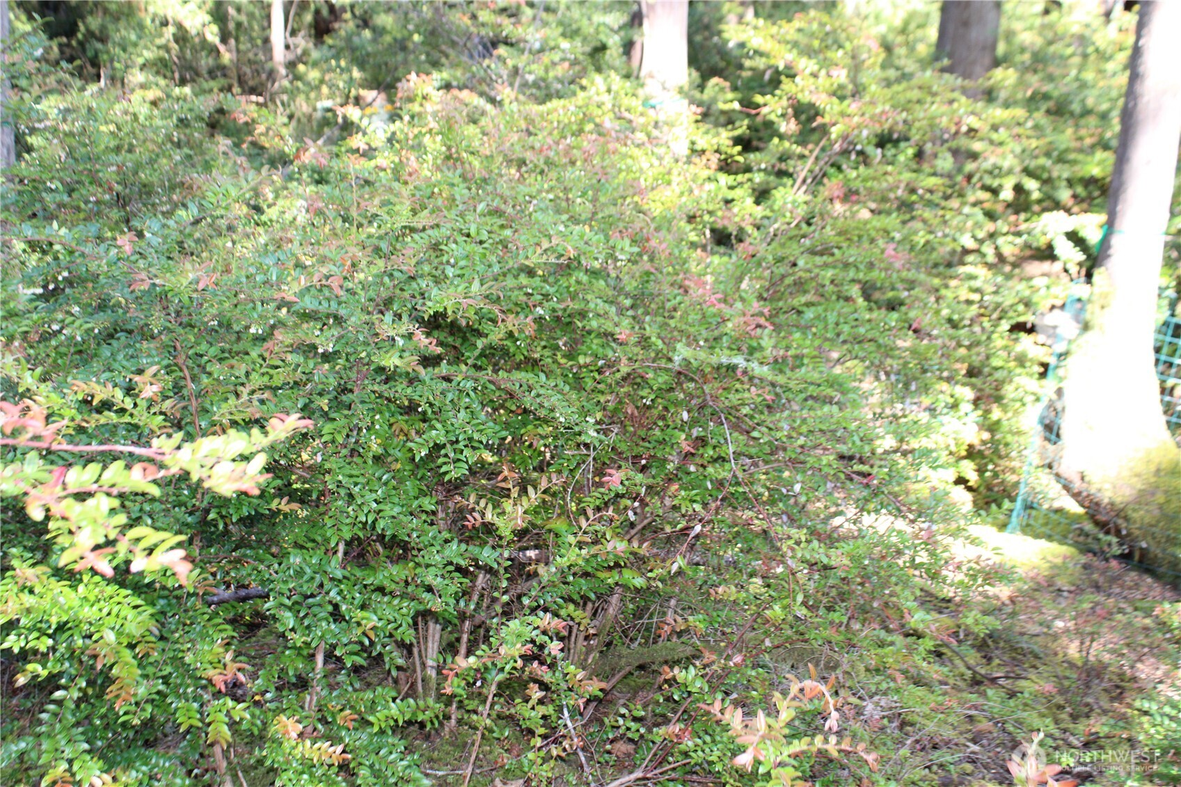 684 E Portage Road Property Photo 13