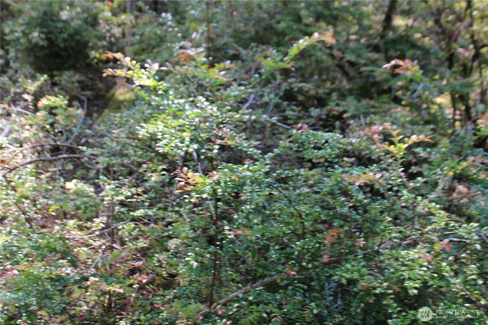 684 E Portage Road Property Photo 15