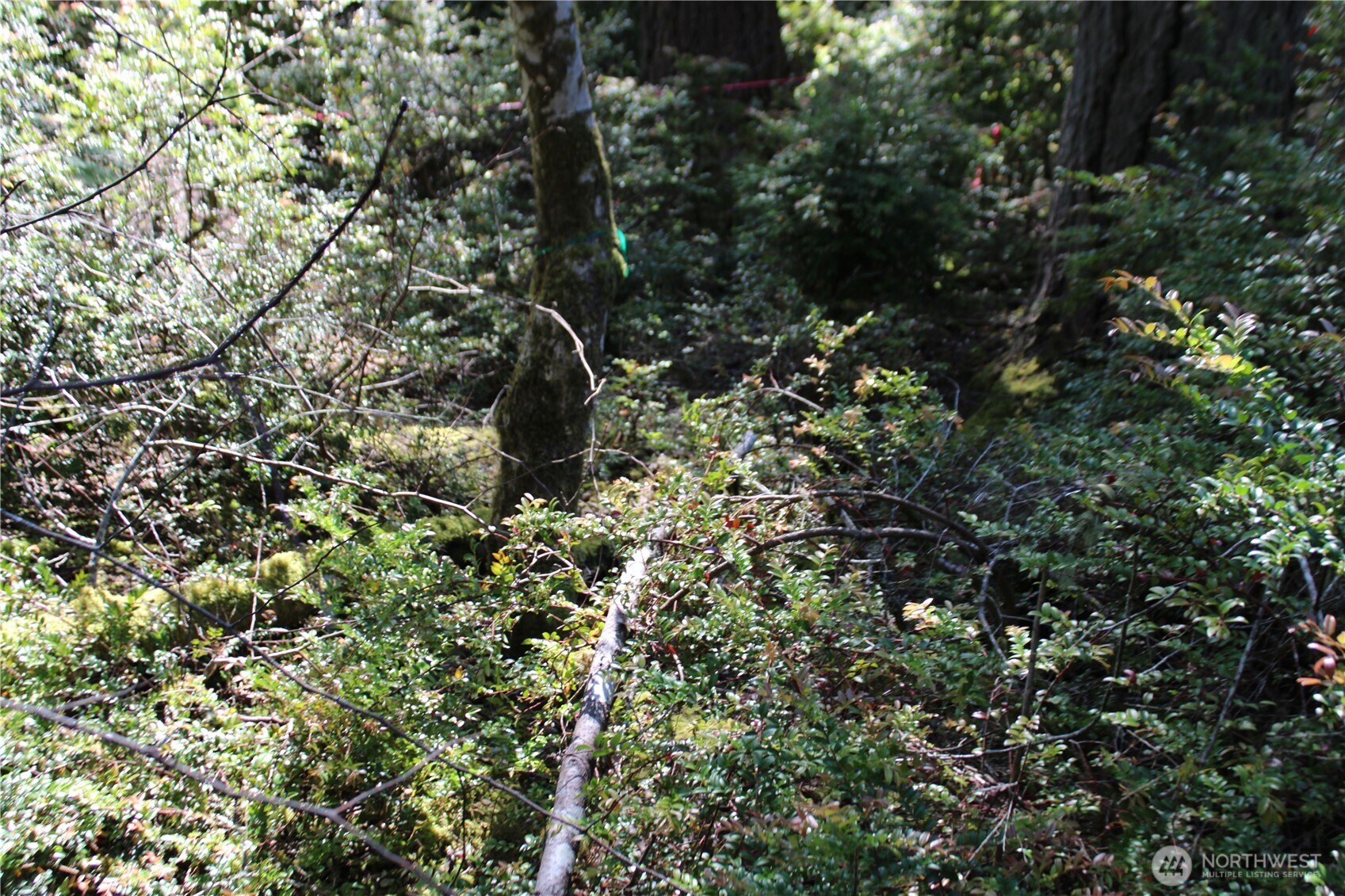 684 E Portage Road Property Photo 16