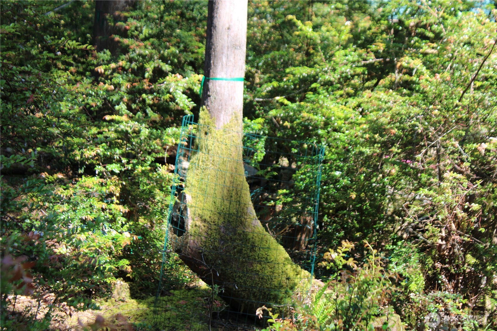 684 E Portage Road Property Photo 18