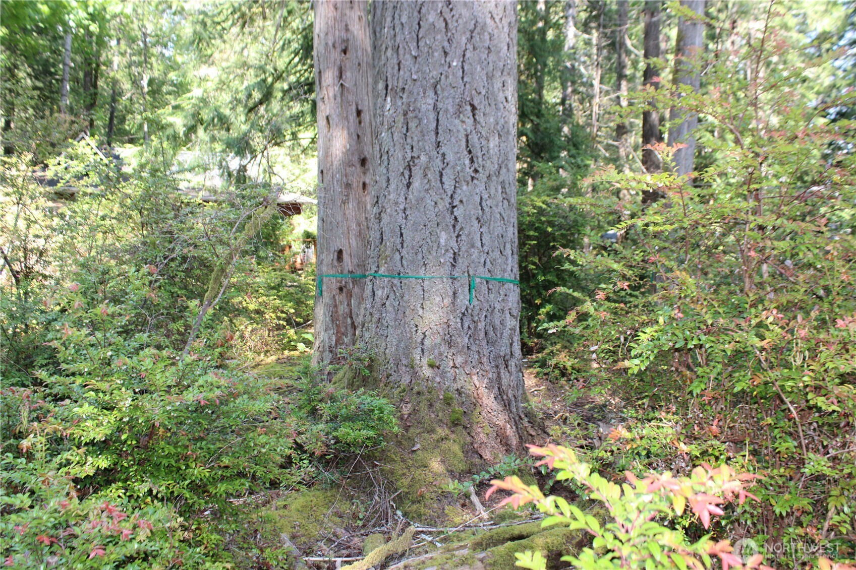 684 E Portage Road Property Photo 19