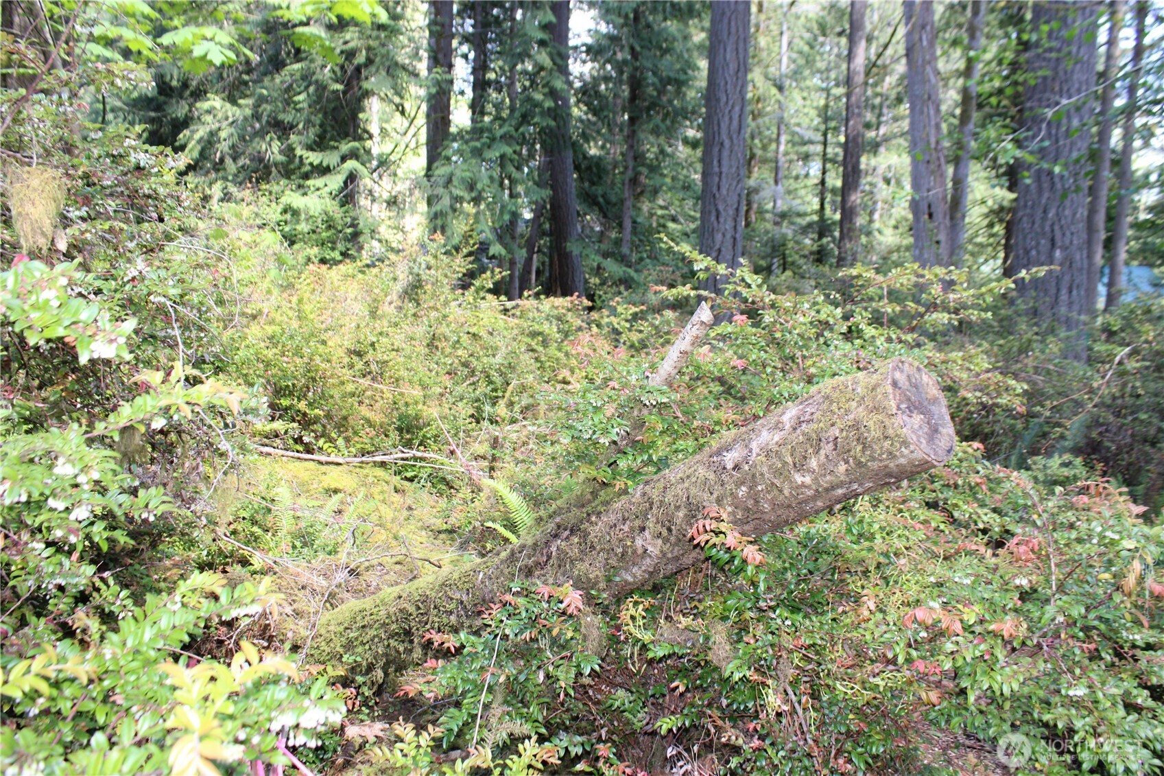 684 E Portage Road Property Photo 20